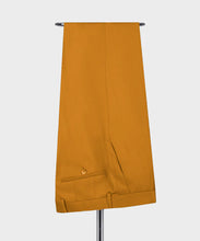 Load image into Gallery viewer, Classic Vest Suit